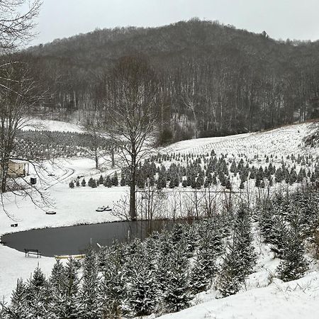 Вилла Songbird Cabin Вилас Экстерьер фото