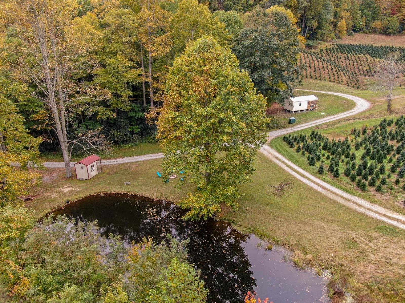 Вилла Songbird Cabin Вилас Экстерьер фото